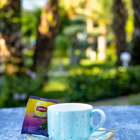 Utopia & أفسالاّر