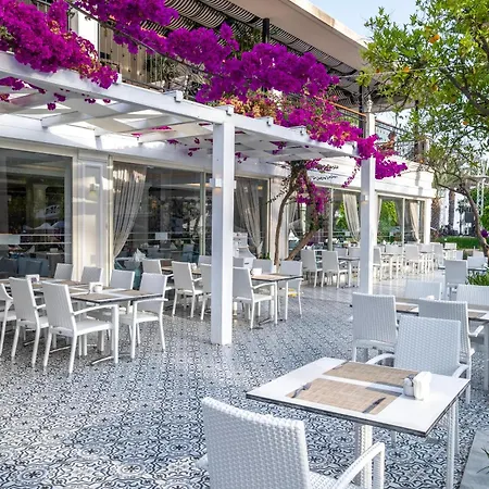 Utopia & * 아브살라르